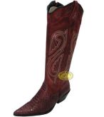 Bota Texana