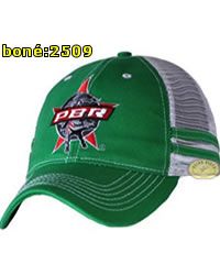 Boné: Verde - 2509